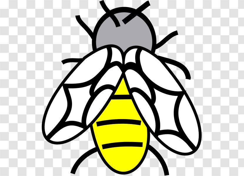 Honey Bee Line Art Cartoon Clip Transparent PNG