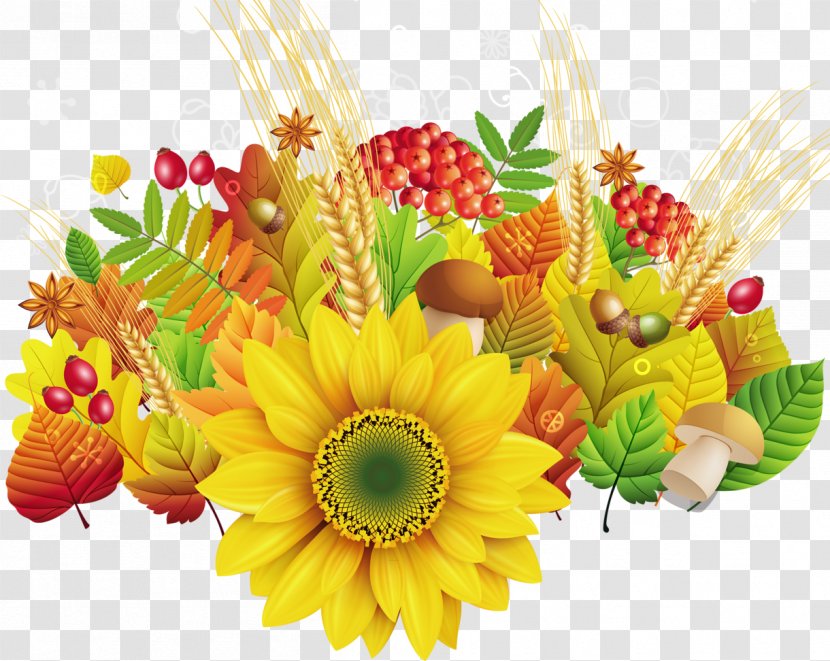 Morning Daytime Autumn Mood Internet - Flower - Sunflower Transparent PNG