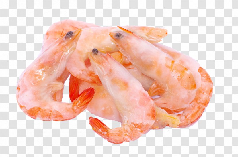 Caridea Shrimp Frying - Shrimps Transparent PNG