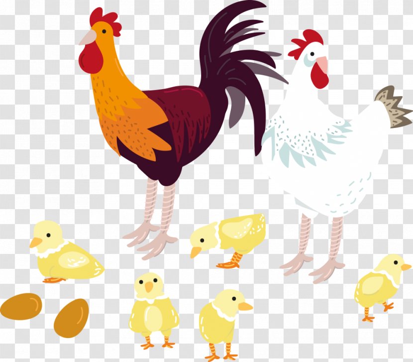 Chicken Rooster - Flower - Vector And Chick Transparent PNG