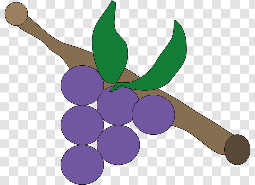 Purple Grapevines Clip Art - Fruit - Grape Transparent PNG