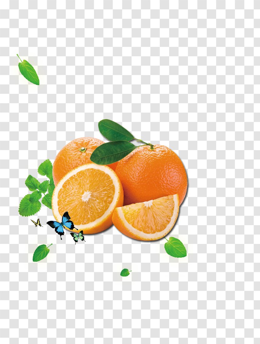 Orange Juice Citrus Xd7 Sinensis Cam Sxe0nh - Tangelo - Butterfly Transparent PNG