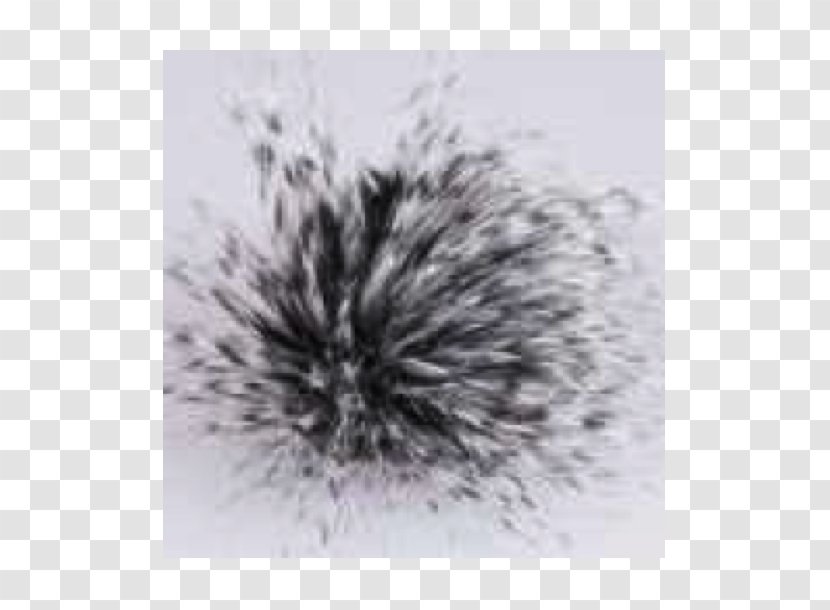 Fur White Black - Stock Photography - Mayflower Transparent PNG