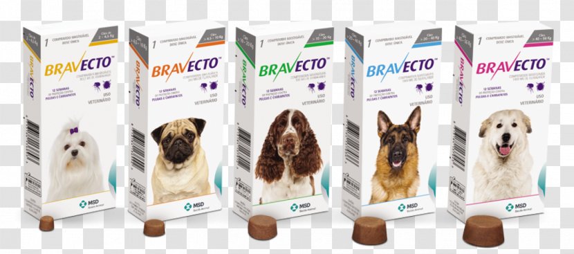 Dog Fluralaner Pet Shop Antiparasitic - Fleas Transparent PNG