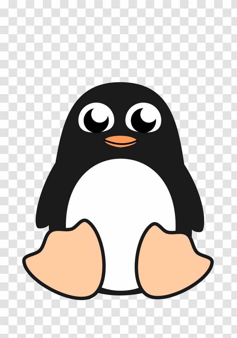 Penguin Drawing Clip Art - Flightless Bird Transparent PNG