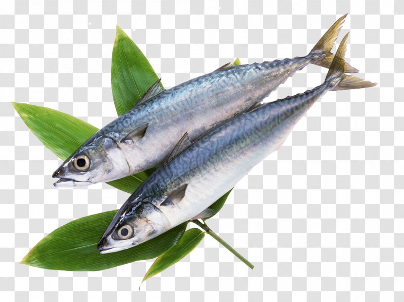 Frozen Food Fish Atlantic Mackerel - Oily - Two Grass Carp Transparent PNG