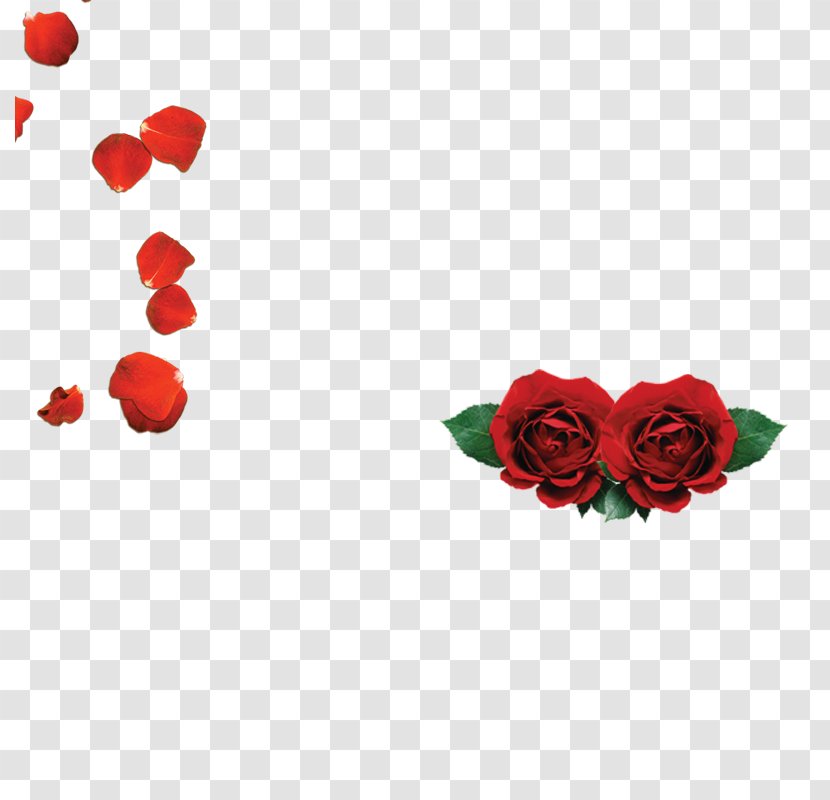 Garden Roses Beach Rose Petal Red Transparent PNG