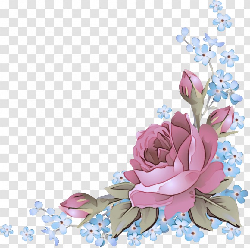 Flower Pink Plant Petal Magnolia - Cut Flowers Blossom Transparent PNG