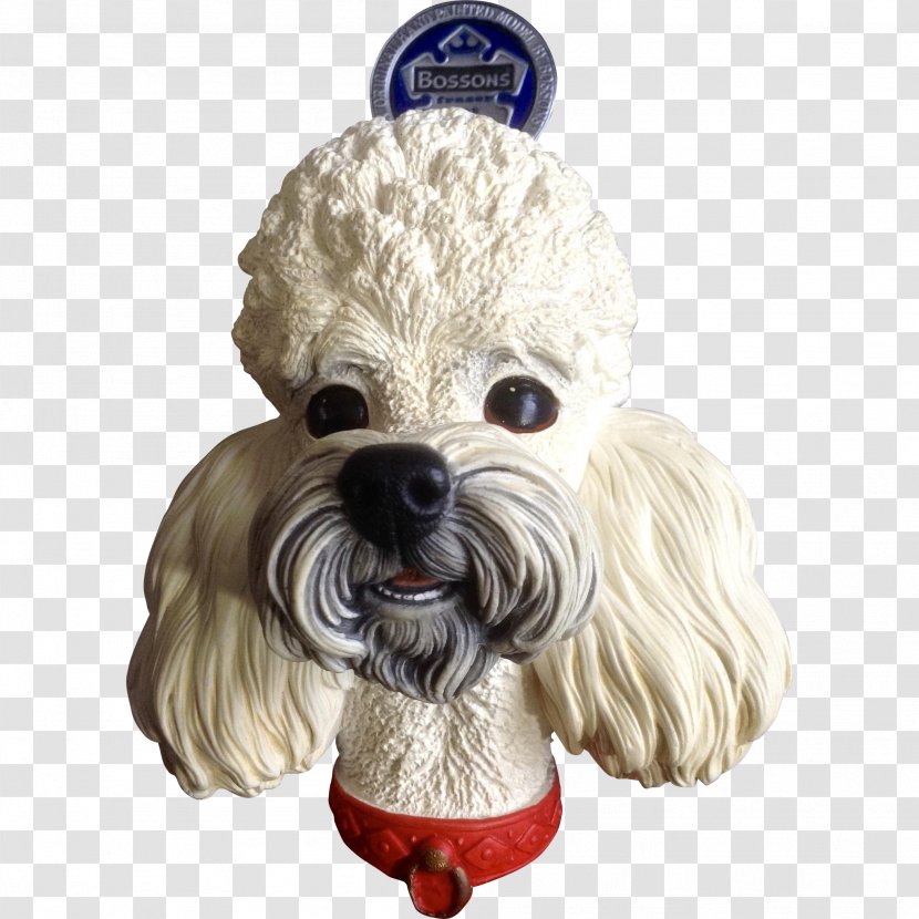 Poodle Schnoodle Cockapoo Dandie Dinmont Terrier Havanese Dog - Animal Transparent PNG