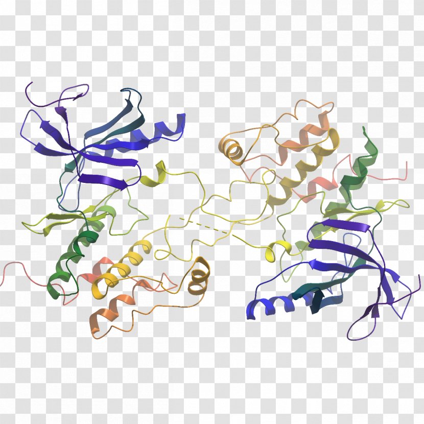 Illustration Product Design Clip Art WNK Lysine Deficient Protein Kinase 3 - Point - Animal Transparent PNG