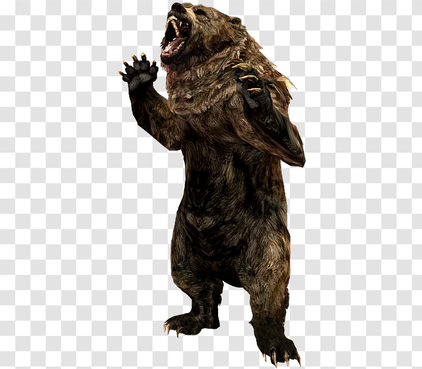 Grizzly Bear The Elder Scrolls V: Skyrim – Dragonborn Cave Animal Alaska Peninsula Brown - Carnivoran Transparent PNG