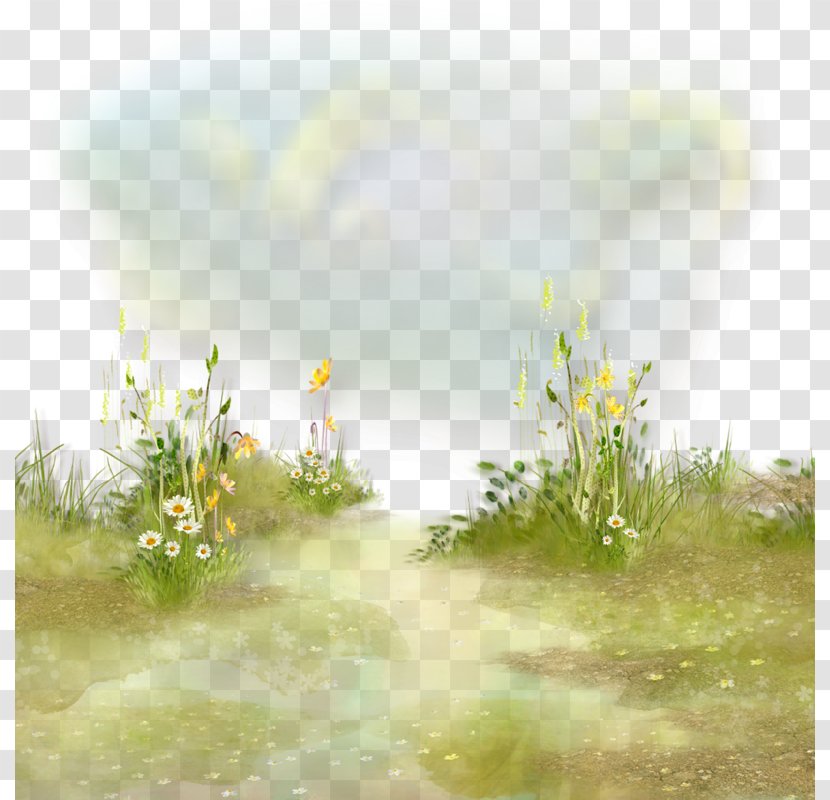 Flower Meadow Grass Herbaceous Plant Clip Art Transparent PNG