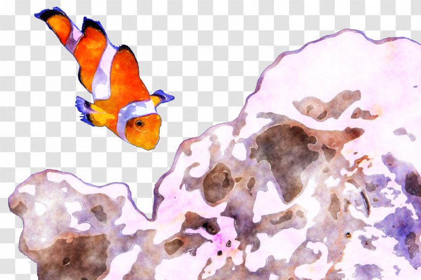 Watercolor Painting Marine Biology Text - Invertebrate - Fish Transparent PNG