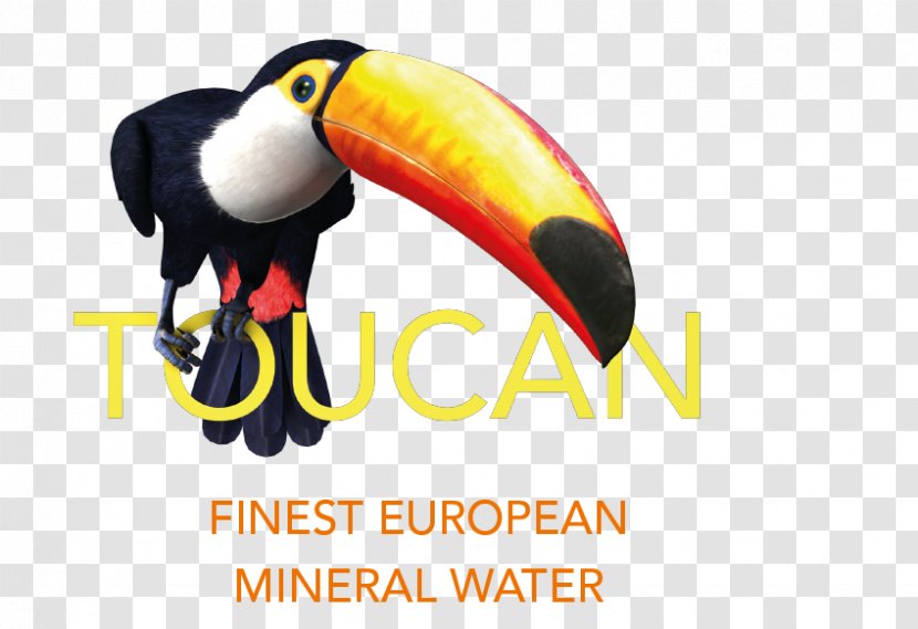 Toucan Mineral Water Beak Austria Transparent PNG