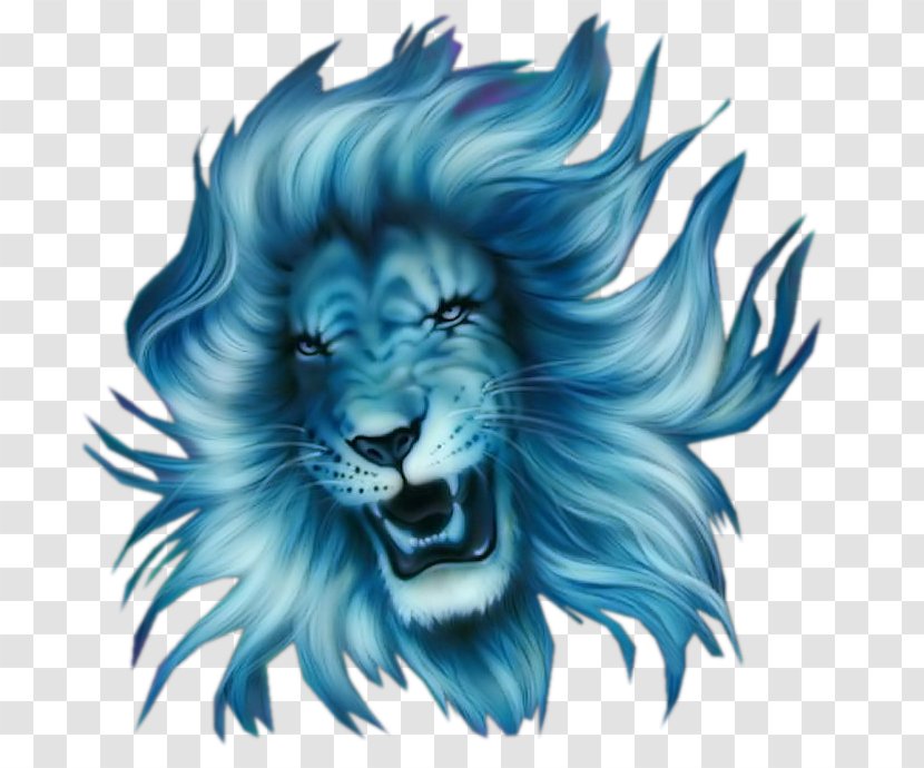 Lionhead Sea Lion Roar - Organism Transparent PNG