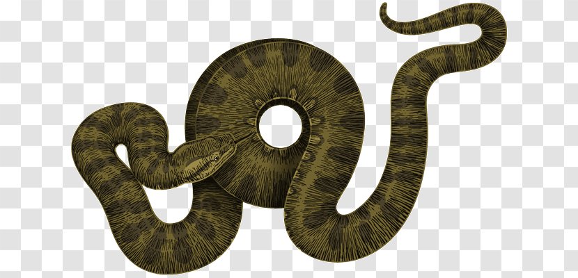Eel Clip Art - Viper Transparent PNG