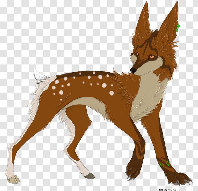 Red Fox Dog Jackal Christmas - Flower Transparent PNG