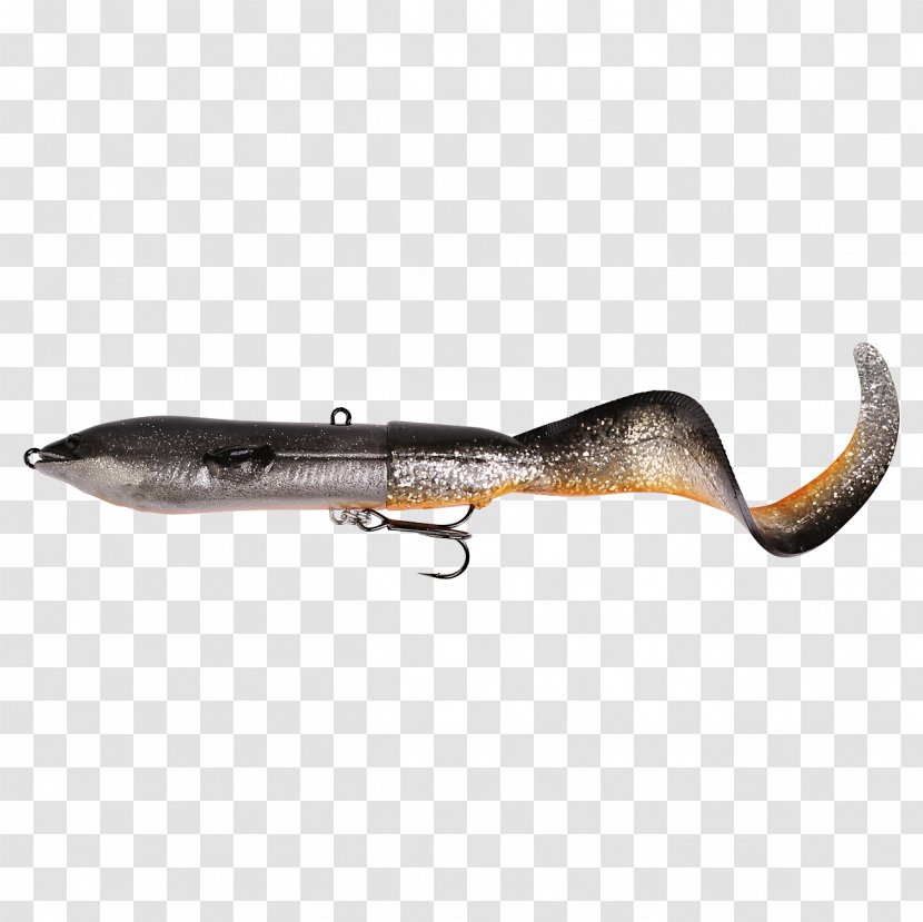 Fishing Baits & Lures Northern Pike Eel - Fisherman - Roach Transparent PNG