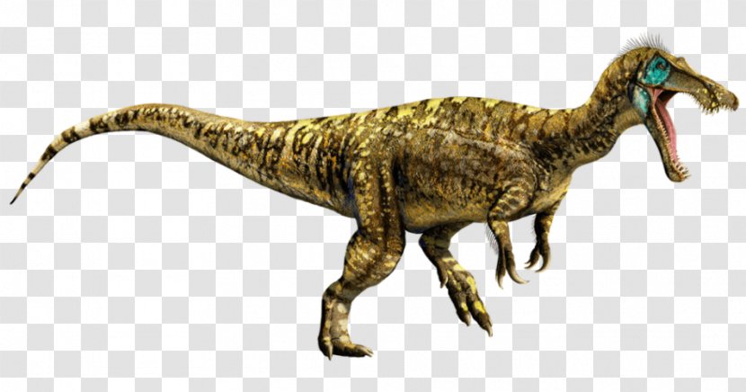 Tyrannosaurus Jurassic World Evolution Universal Pictures Baryonyx Park: Operation Genesis - Velociraptor - Dinosaur Transparent PNG