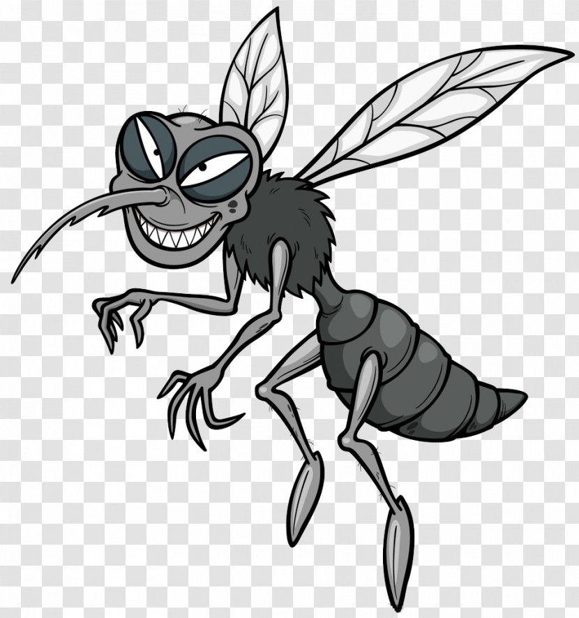 Mosquito Cartoon Stock Photography Royalty-free - Horse Like Mammal Transparent PNG