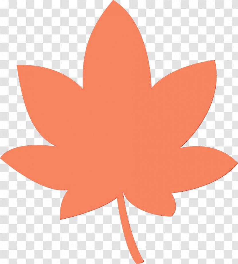 Orange - Peach - Logo Transparent PNG