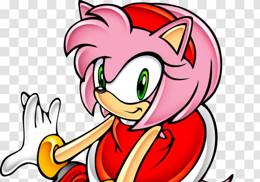 Sonic Adventure 2 Amy Rose Knuckles The Echidna CD - Watercolor - Flower Transparent PNG