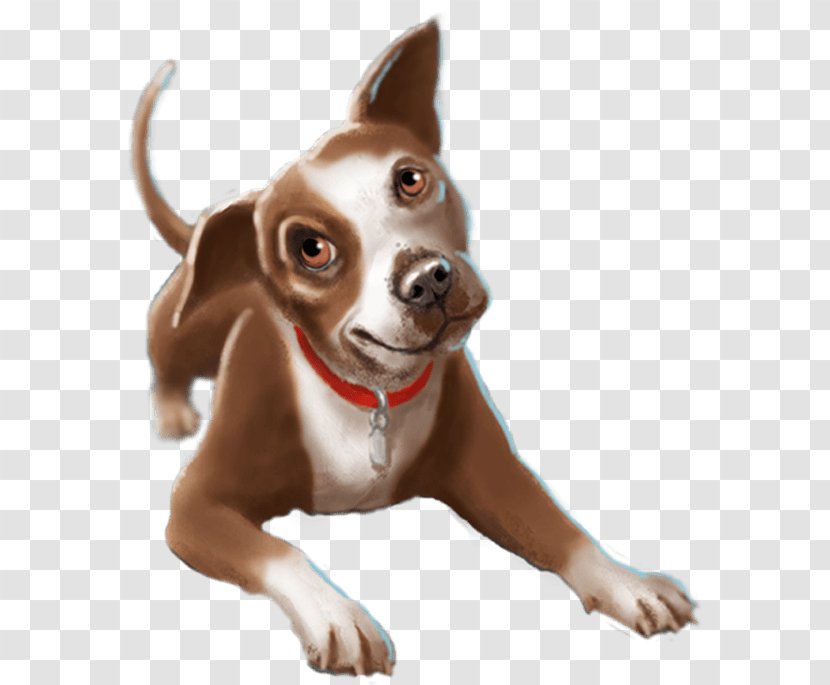 Dog Breed Puppy Companion Snout - Carnivoran Transparent PNG