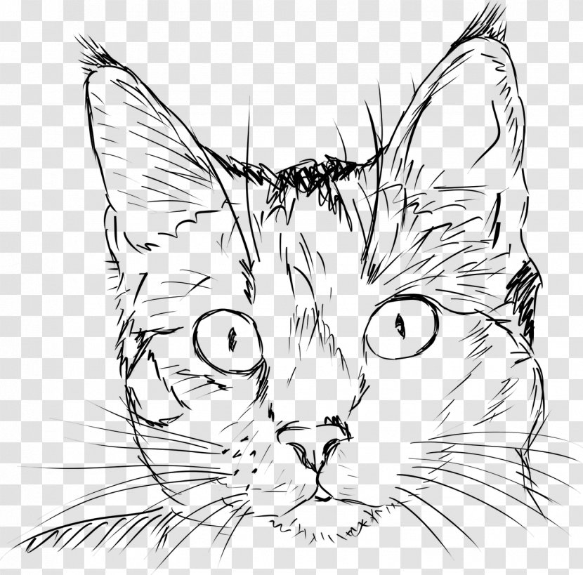 Drawing A Cat Kitten Sketch - Carnivoran Transparent PNG