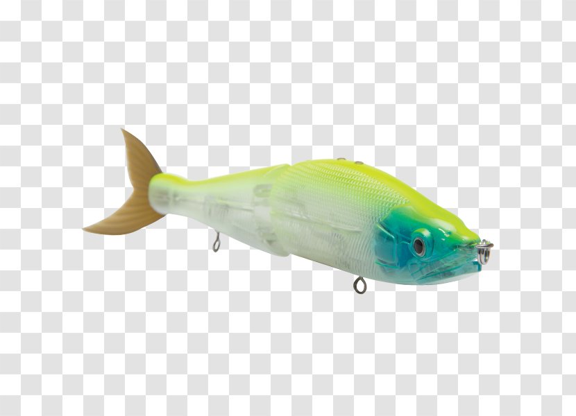 Sardine Spoon Lure Marine Biology Mammal Oily Fish - Seafood - Fin Transparent PNG