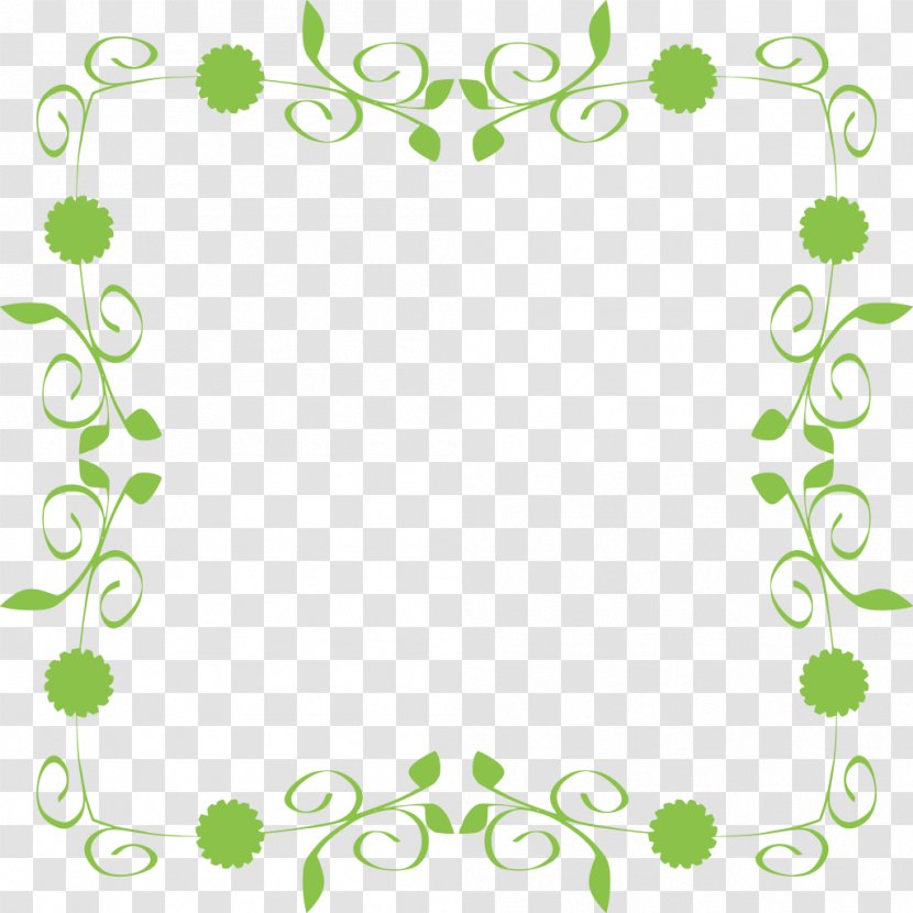 Rose Flower Drawing - Plant - Ornament Rectangle Transparent PNG