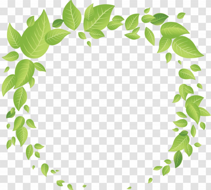 Clip Art - Leaf - Plant Stem Transparent PNG