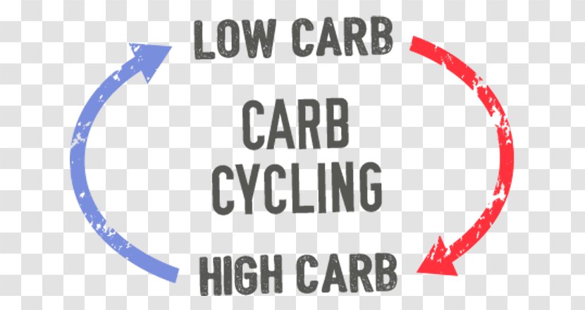 Cyclic Ketogenic Diet Low-carbohydrate Bodybuilding - Area Transparent PNG