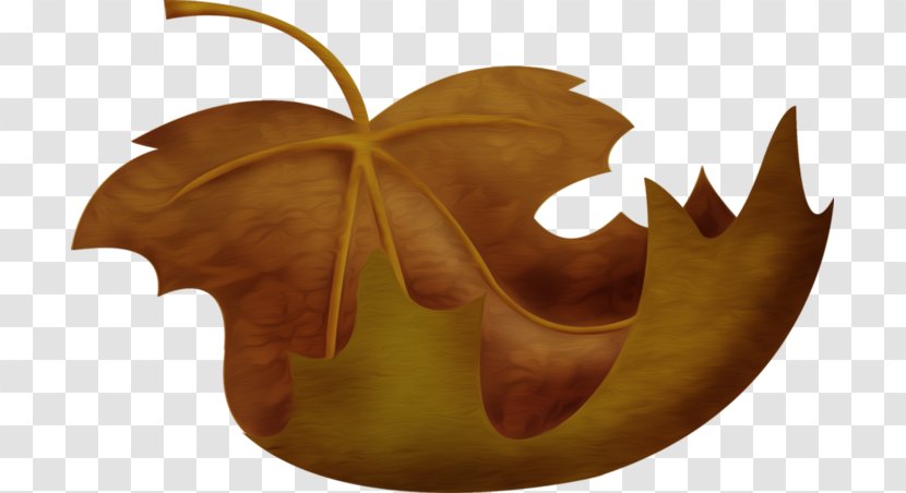 Leaf LiveInternet Diary Clip Art - Woman Transparent PNG