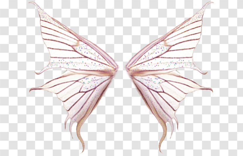 Butterfly Clip Art - Pollinator Transparent PNG