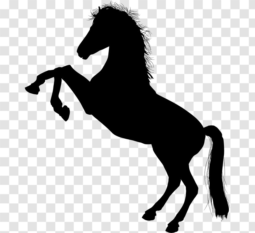 Horse Unicorn Clip Art - Pony Vector Transparent PNG