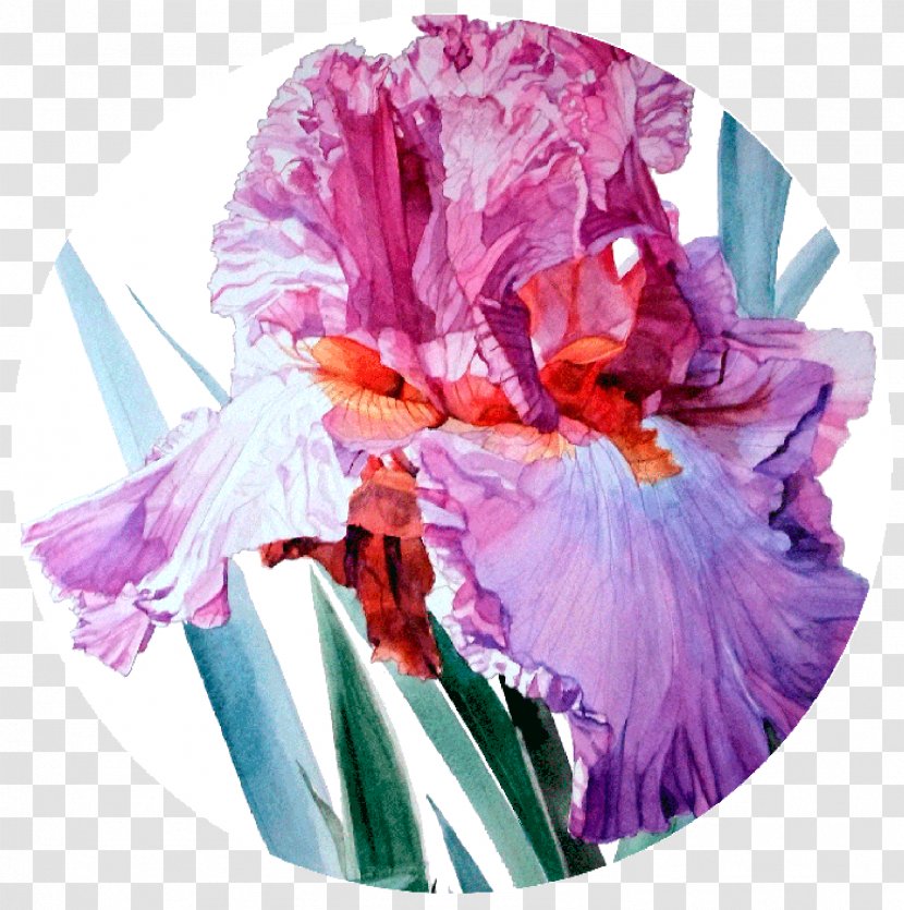 Irises Watercolor Painting Artist - Contemporary Art Transparent PNG
