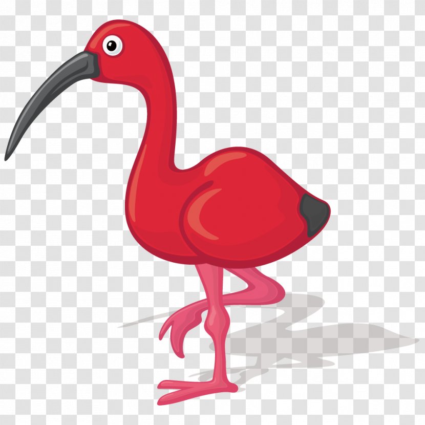 Bird Ibis Cartoon Illustration - Photography - Red Flamingo Transparent PNG