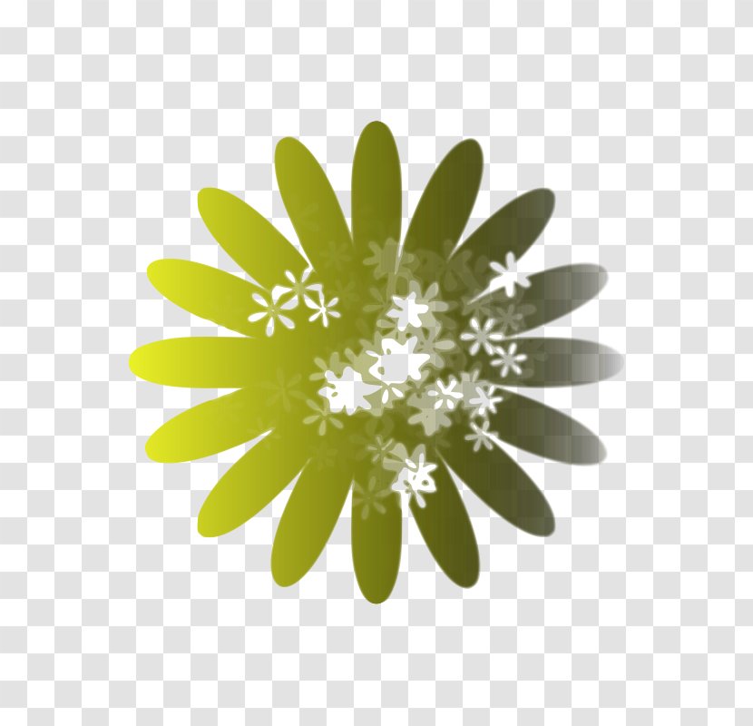 Floral Design Drawing Pattern - Petal - Practical Vector Transparent PNG