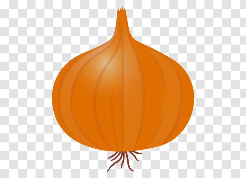 Pumpkin Calabaza Winter Squash Leaf - Fruit Transparent PNG