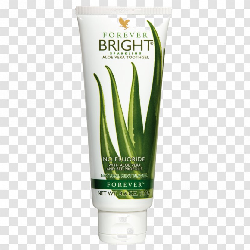 Aloe Vera Toothpaste Forever Living Products Gel - Skin Care Transparent PNG