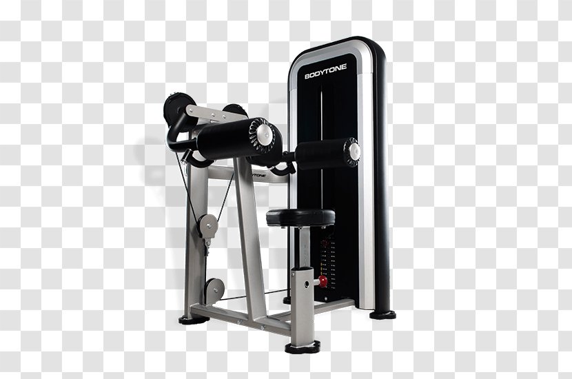 Weight Training Pulldown Exercise Shoulder Machine Pectoralis Major - Watercolor - Abdominal Movement Transparent PNG