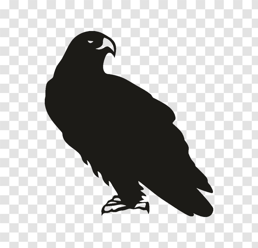 Eagle Decal Bird Sticker Size? - Of Prey Transparent PNG