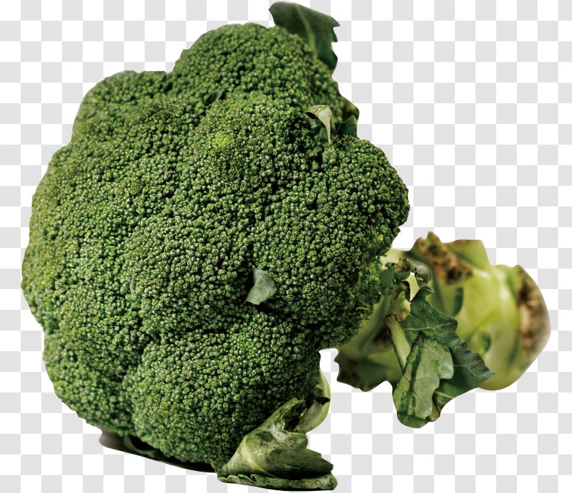 Food Nutrition Broccoli Vegetable Health - Cauliflower Transparent PNG