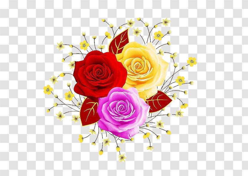 Garden Roses Beach Rose Flower Illustration - Creative Transparent PNG