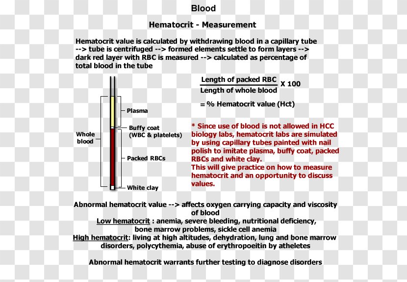 Hematocrit Blood Test Measurement Hemoglobin - Plasma Transparent PNG