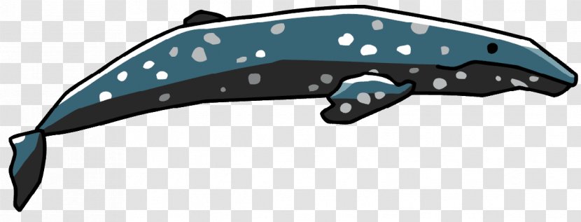 Dolphin Gray Whale Porpoise Clip Art - Humpback Transparent PNG