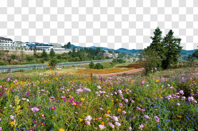 Landscape Painting - Plant - Beautiful Flower Town Landscapes Yangchangdong Transparent PNG