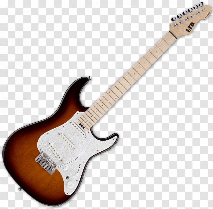 Fender Stratocaster Sunburst Guitar Telecaster The STRAT Transparent PNG