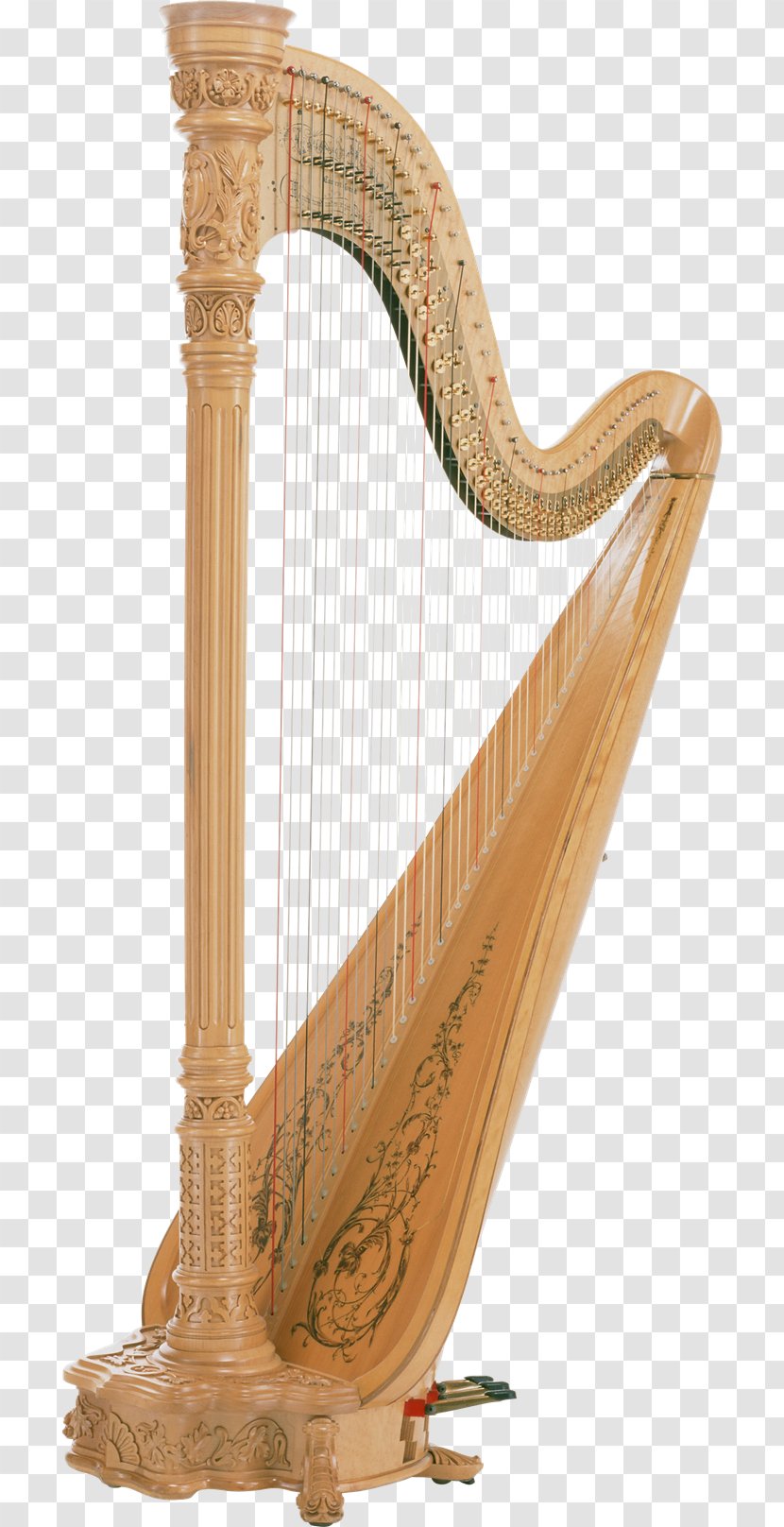 Harp Photography - Cartoon Transparent PNG