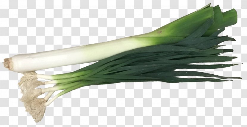 Allium Fistulosum Leek Mapo Doufu Garlic Onion - Couscous - Green Transparent PNG